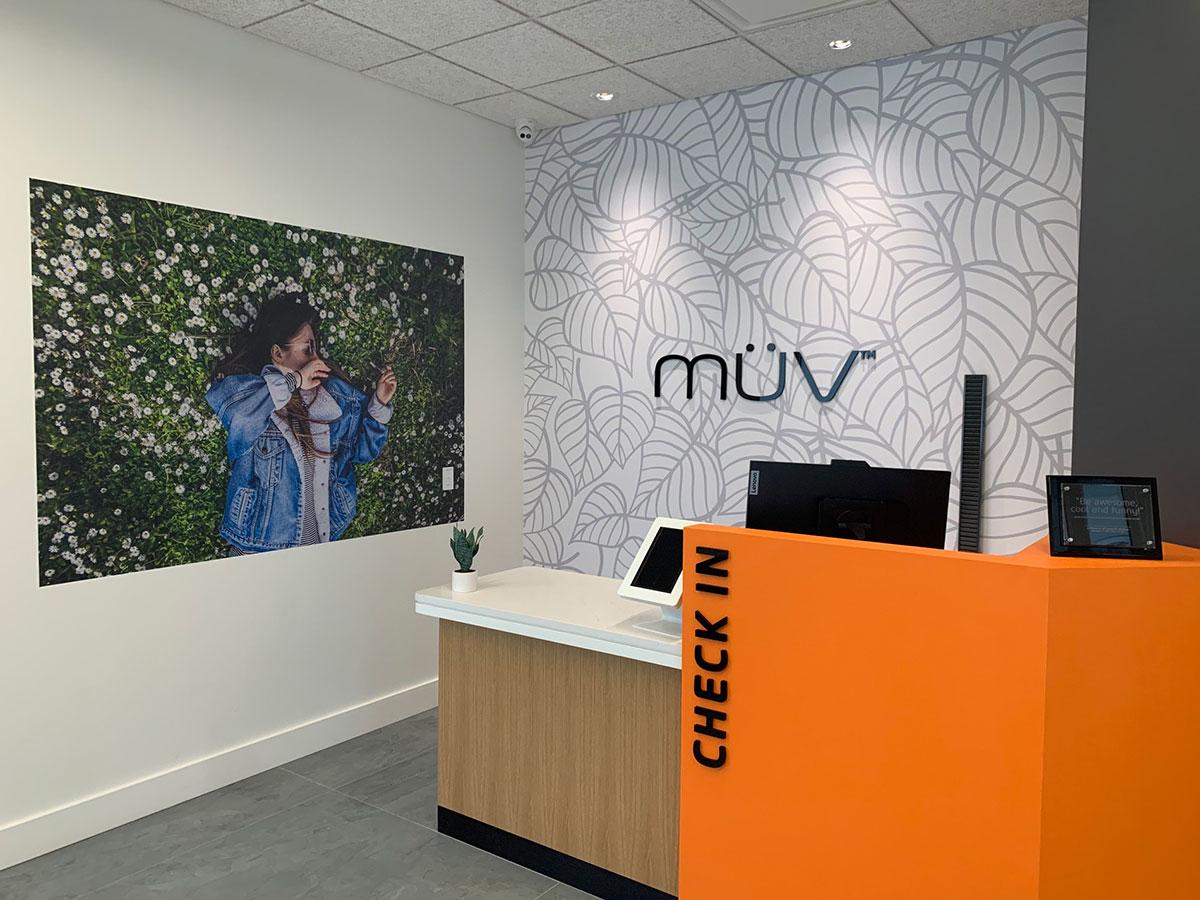 Find Cotton Candy Strain at Your Local MÜV Dispensary 