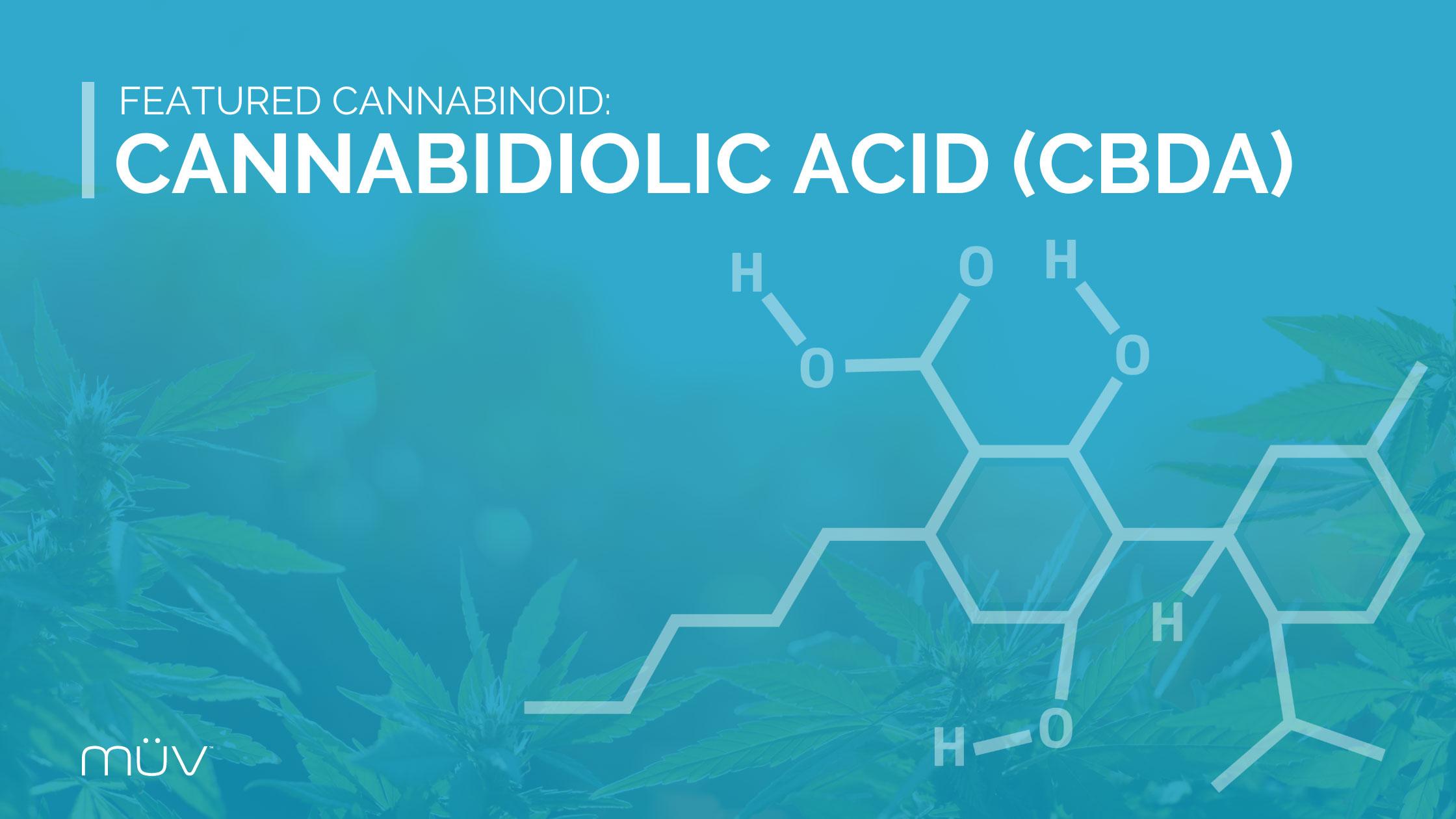 Photo of Featured Cannabinoid: Cannabidiolic Acid (CBDA)