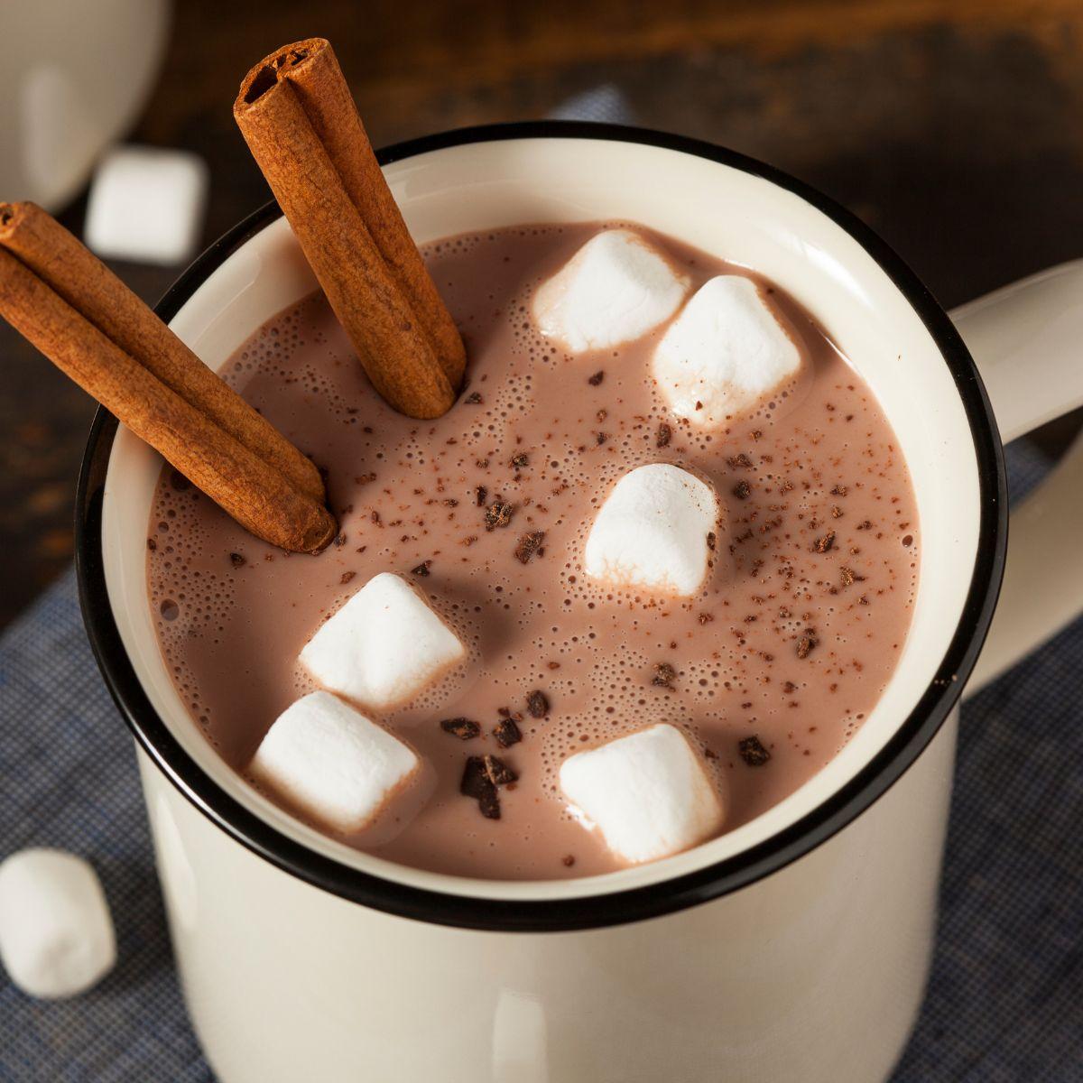 Spiced Hot Chocolate Marijuana Mocktail
